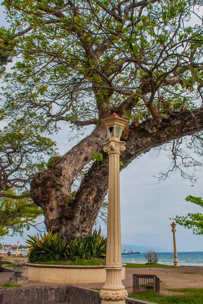 Lungomare con bellissimi alberi in tempo nuvoloso. Dumaguete, Filippine — Foto Stock