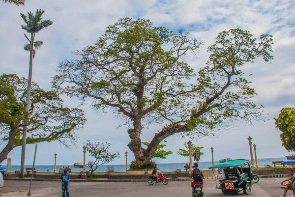 Bord de l'eau avec de beaux arbres par temps nuageux. Dumaguete, Philippines — Photo