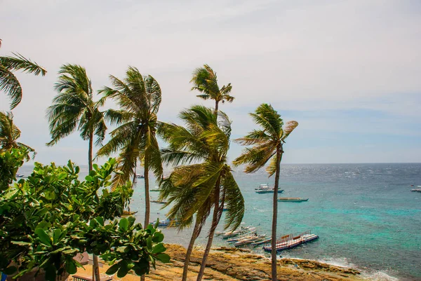 Île d'Apo, Philippines, vue sur la plage de l'île. Palmiers, mer et bateaux . — Photo