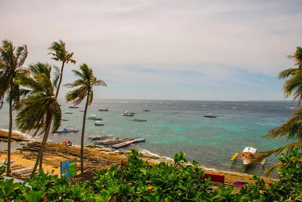 Apo island, Philippines, view on island beach line. Palm trees, sea and boats. — Stock Photo, Image