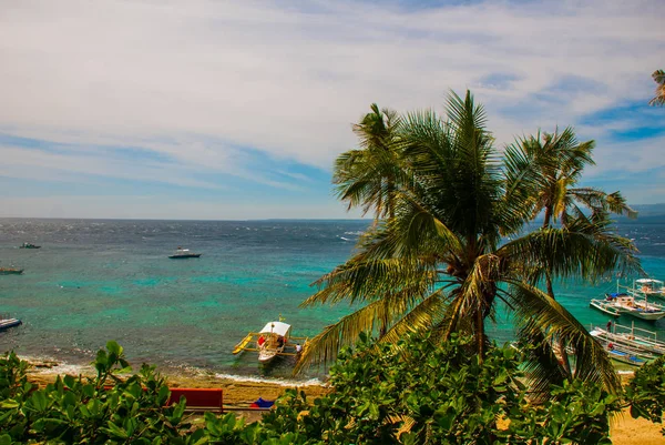 Isola di Apo, Filippine, vista sulla spiaggia dell'isola. Palme, mare e barche . — Foto Stock