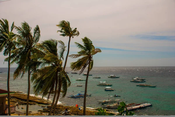 APO island, Filipiny, widok na wyspę plaży linii. Palmy, morze i łodzi. — Zdjęcie stockowe