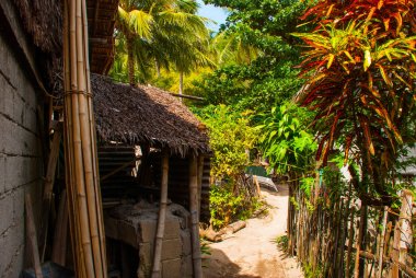 Her zamanki yerel kırsal ev Apo Adası, Filipinler