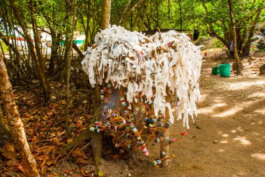 Balık ağlarına çit asılı olan
