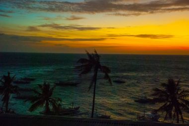 Deniz ve palmiye ağaçları günbatımı, görünümünü. APO Adası, Filipinler