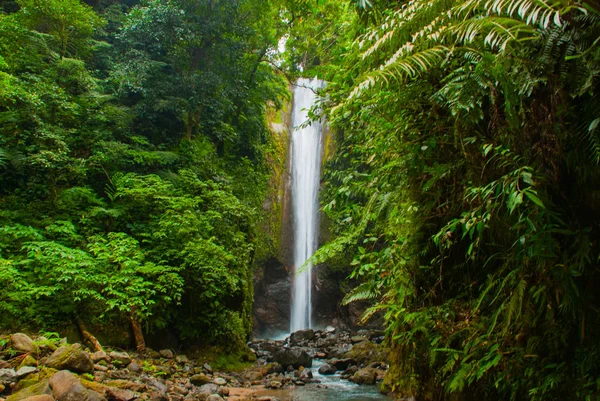 Casaroro vodopád, Filipíny. Valencia, island Negros. — Stock fotografie