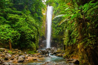 Casaroro şelale, Filipinler. Valencia, ada Negros.