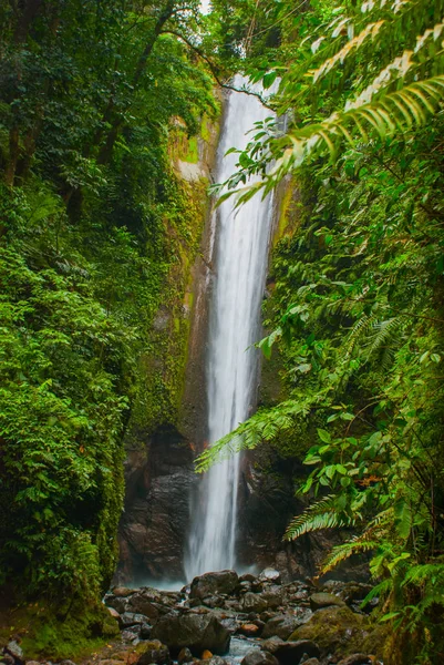 Casaroro waterval, Filippijnen. Valencia, eiland Negros. — Stockfoto