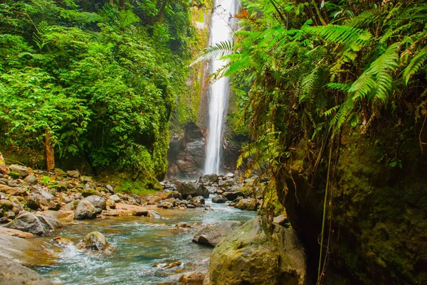 Casaroro waterfall, Philippines. Valencia, island Negros. — Stock Photo, Image