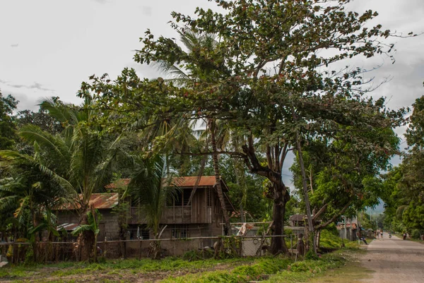 Local antigua casa de madera y enormes árboles verdes. Filipinas, isla Negros . — Foto de Stock