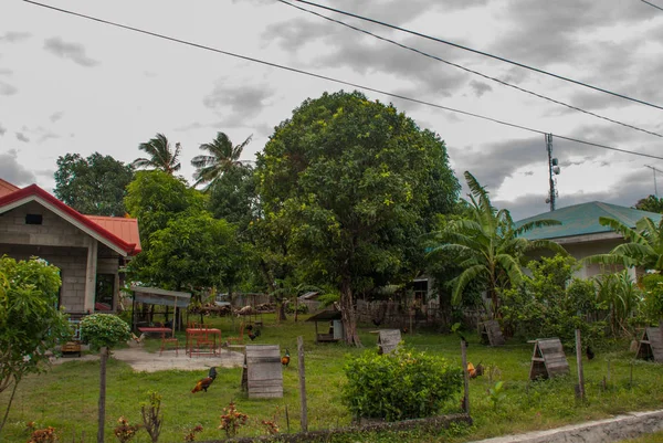 Lokalnych stary drewniany dom i ogromne zielone drzewa. Filipiny, wyspy Negros. — Zdjęcie stockowe