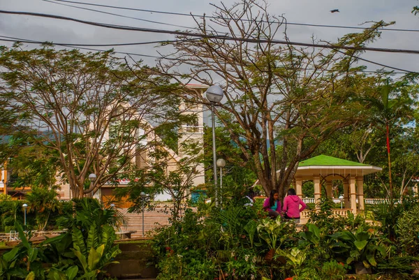 Groene boom in een kleine stad Valencia, eiland Negros. — Stockfoto