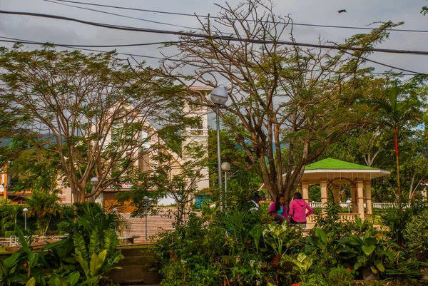 Árbol verde en una pequeña ciudad Valencia, isla Negros . — Foto de Stock