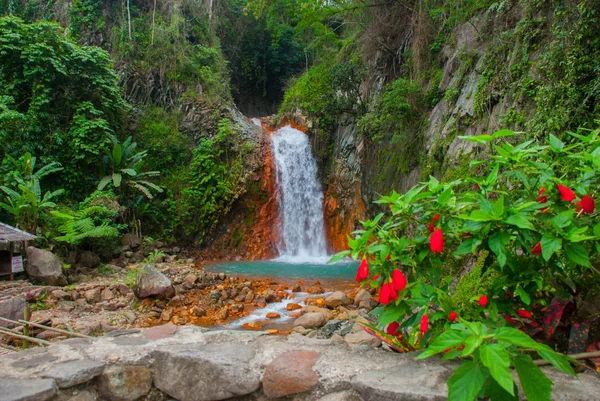 Waterfall and red flowers, Philippines. Valencia, island Negros.