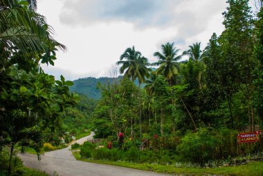 Palmiye ağaçları ile beton yol yaz aylarında kırık. Filipinler. Valencia, ada Negros.