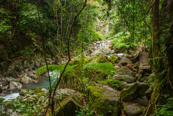 Riesige Felsen und ein Bach in einem grünen Park. Philippinen. valencia, insel negros. — Stockfoto