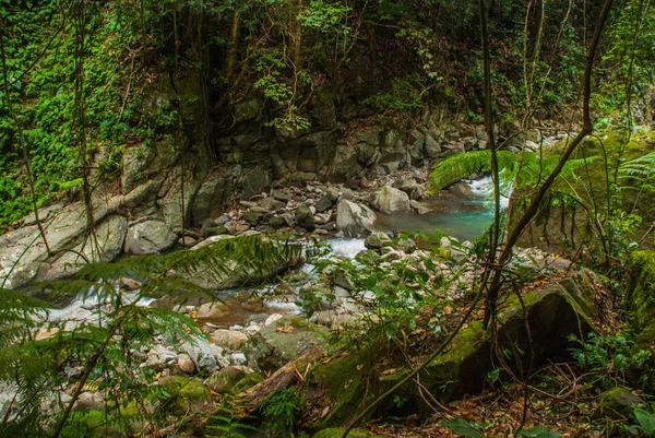 Rocce enormi e un ruscello in un parco verde. Filippine. Valencia, isola di Negros . — Foto Stock