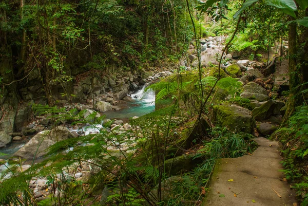 Reusachtige rotsen en een stroom in een groen Park. Filippijnen. Valencia, eiland Negros. — Stockfoto