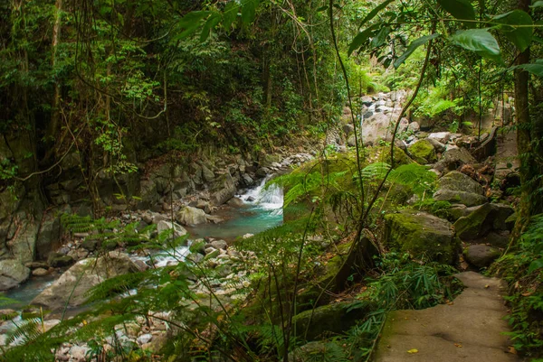 Riesige Felsen und ein Bach in einem grünen Park. Philippinen. valencia, insel negros. — Stockfoto