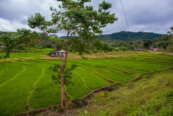 Beautiful landscape at cloudy weather: rice fields, sky with clouds, hills, trees, houses. Negros island, Philippines.