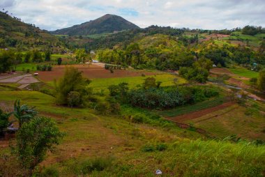 Pirinç terasları Filipinler. Negros Adası