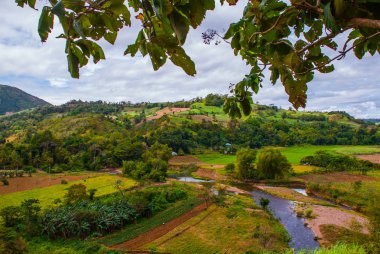 Pirinç terasları Filipinler. Negros Adası