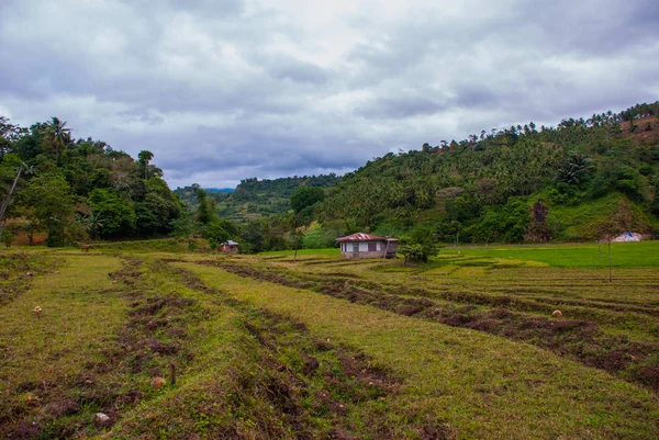 Bela paisagem em tempo nublado: campos de arroz, céu com nuvens, colinas, árvores, casas. Ilha de Negros, Filipinas . — Fotografia de Stock
