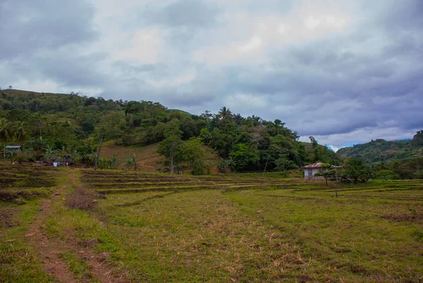 Krásná krajina v oblačné počasí: rýžová pole, obloha s mraky, kopce, stromy, domy. Negros island, Filipíny. — Stock fotografie