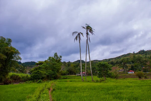 Krásná krajina v oblačné počasí: rýžová pole, obloha s mraky, kopce, stromy, domy. Negros island, Filipíny. — Stock fotografie