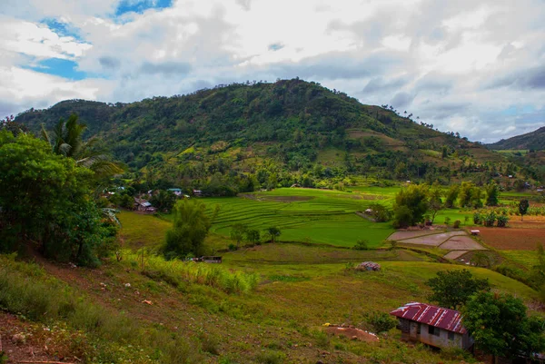 Rýžové terasy na Filipínách. Negros island — Stock fotografie