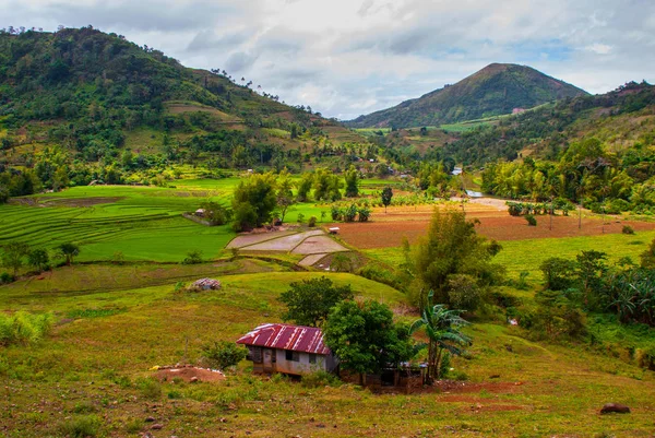 Rýžové terasy na Filipínách. Negros island — Stock fotografie