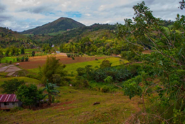 Terraços de arroz nas Filipinas. Ilha de Negros — Fotografia de Stock