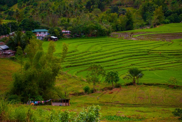 Rýžové terasy na Filipínách. Negros island — Stock fotografie