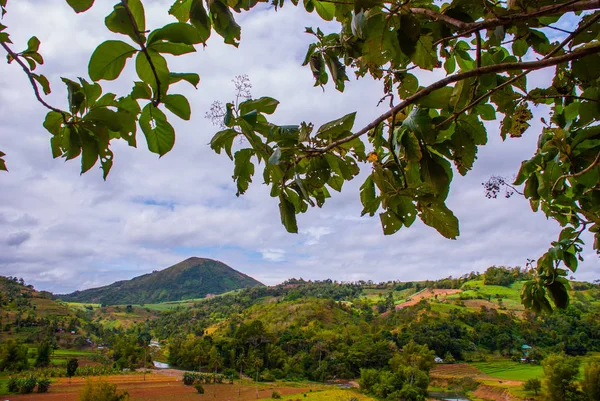 Terraços de arroz nas Filipinas. Ilha de Negros — Fotografia de Stock