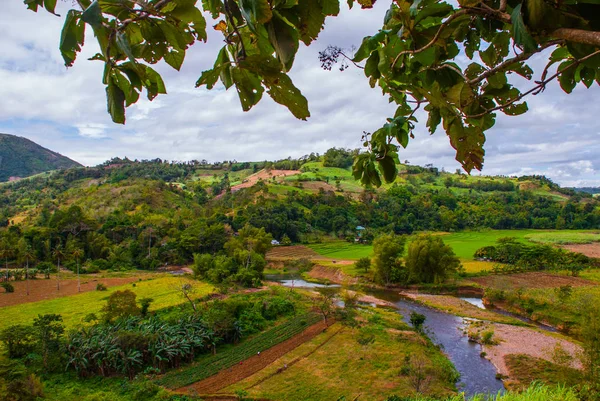Pirinç terasları Filipinler. Negros Adası