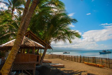 Denize karşı sahilde şezlong ve palmiye ağaçları. Pandan, Panay Adası, Filipinler.