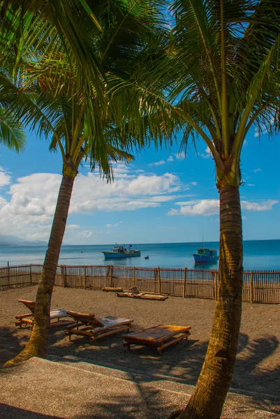 关于打击海海滩日光浴浴床和棕榈树。香兰，班乃岛菲律宾. — 图库照片