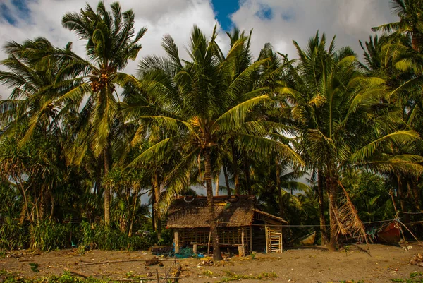 Manzara palmiye ağaçları ile ve yerel sahilde ev sahipliği yapmaktadır. Pandan, Panay, Filipinler. — Stok fotoğraf