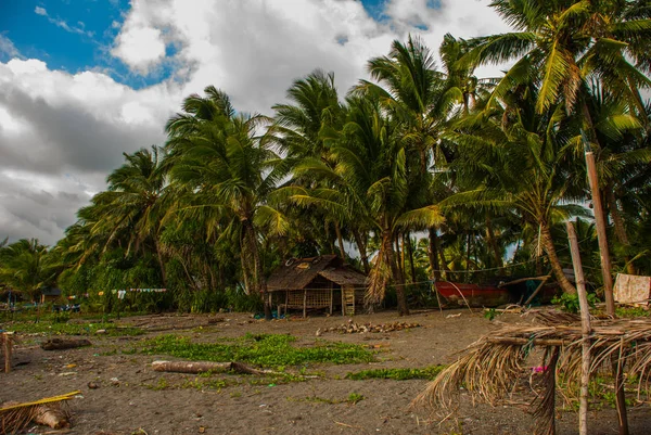 Manzara palmiye ağaçları ile ve yerel sahilde ev sahipliği yapmaktadır. Pandan, Panay, Filipinler. — Stok fotoğraf