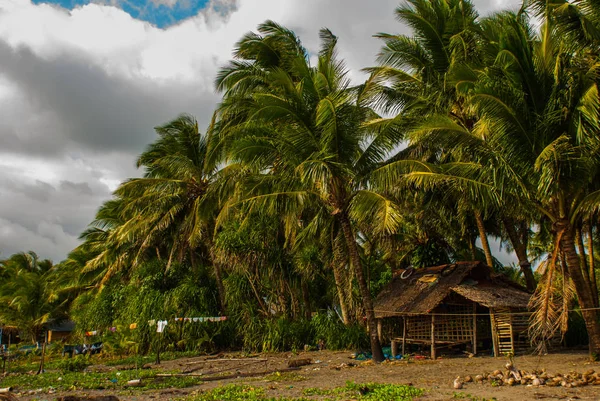 Manzara palmiye ağaçları ile ve yerel sahilde ev sahipliği yapmaktadır. Pandan, Panay, Filipinler. — Stok fotoğraf