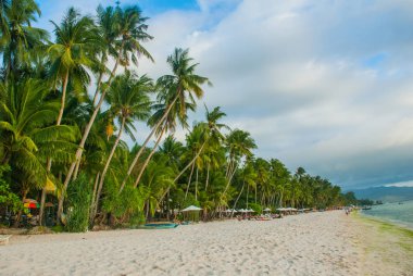 Beyaz sahilde güzel palmiye ağaçları. Boracay Adası, Filipinler