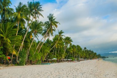 Beyaz sahilde güzel palmiye ağaçları. Boracay Adası, Filipinler