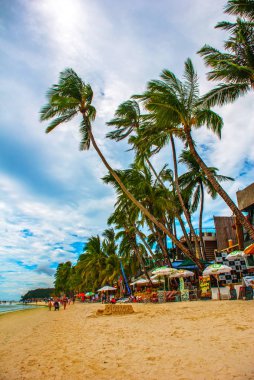 Beyaz sahilde güzel palmiye ağaçları. Boracay Adası, Filipinler