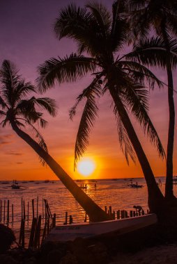 Tropikal peyzaj gün batımında. Gökyüzü arka plan üzerinde palmiye ağaçları. Beyaz plaj. Boracay. Filipinler.