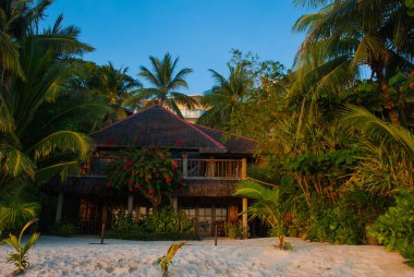 Palmiyeler ve plaj evleri. Boracay, Filipinler