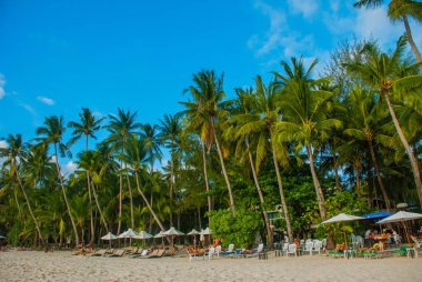 Beyaz sahilde güzel palmiye ağaçları. Boracay Adası, Filipinler