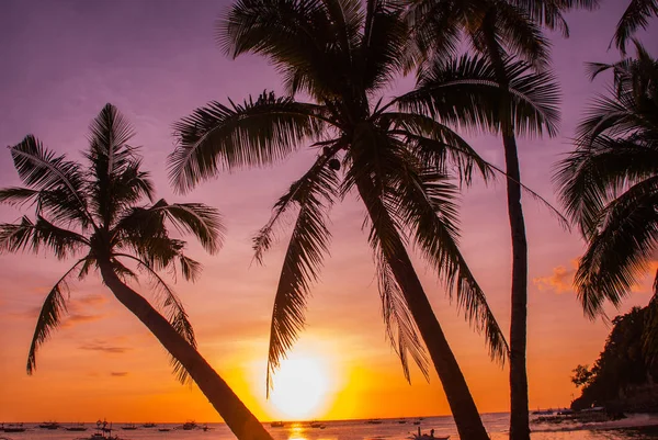 Tropikal peyzaj gün batımında. Gökyüzü arka plan üzerinde palmiye ağaçları. Beyaz plaj. Boracay. Filipinler. — Stok fotoğraf