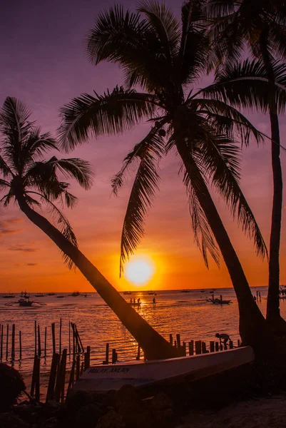 Tropikal peyzaj gün batımında. Gökyüzü arka plan üzerinde palmiye ağaçları. Beyaz plaj. Boracay. Filipinler. — Stok fotoğraf