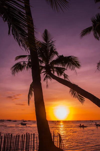 Tropikal peyzaj gün batımında. Gökyüzü arka plan üzerinde palmiye ağaçları. Beyaz plaj. Boracay. Filipinler. — Stok fotoğraf