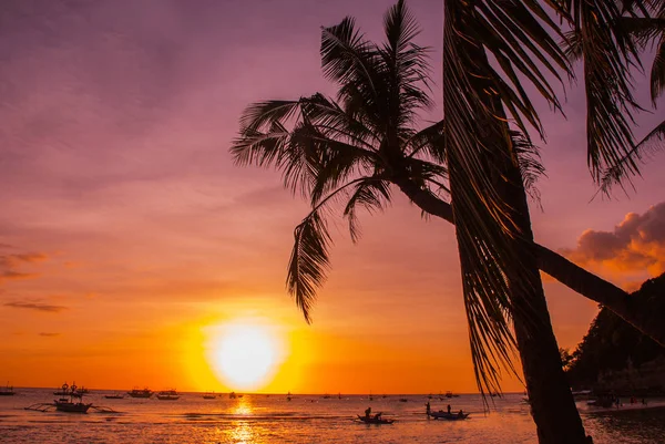 夕暮れ時の熱帯の風景。空の背景でヤシの木。白いビーチ。ボラカイ島。フィリピン. — ストック写真